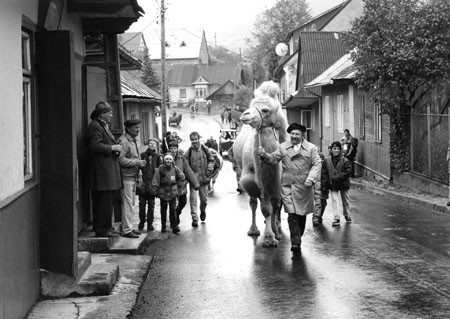 Zygmunt (Jerzy Stuhr) & friend out on a stroll
in THE BIG ANIMAL
Photo: Milestone