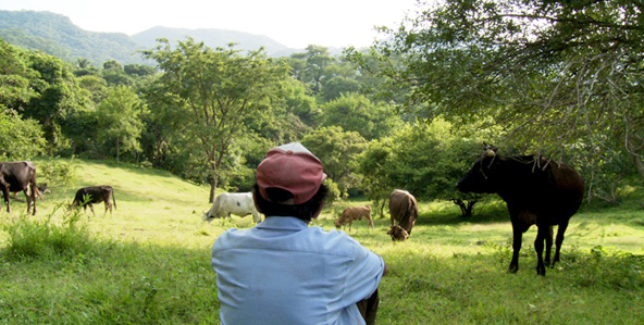 A scene from THE TINIEST PLACE (Photo: IFC Film Center)